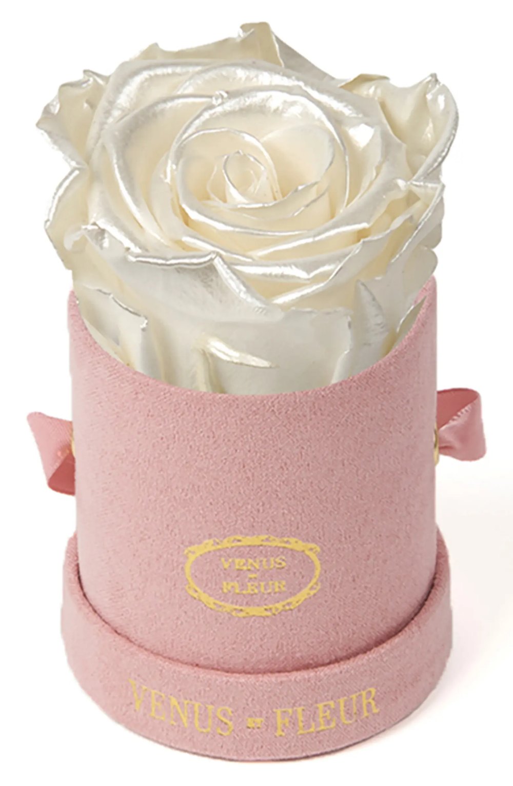 venus-et-fleur