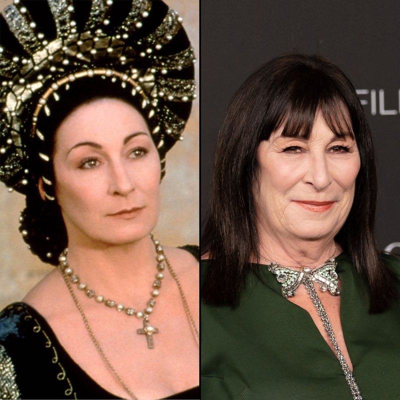 'Ever After- A Cinderella Story' Cast- Where Are They Now? - 475 Anjelica Huston