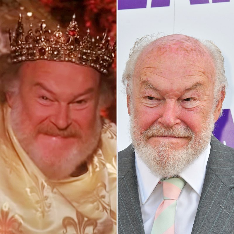 'Ever After- A Cinderella Story' Cast- Where Are They Now? - 480 Timothy West