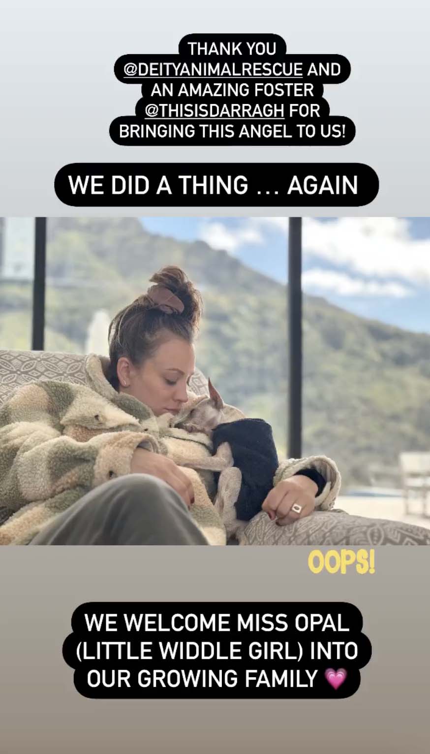 Pregnant Kaley Cuoco and Tom Pelphrey Welcome Rescue Dog Before Baby’s Arrival