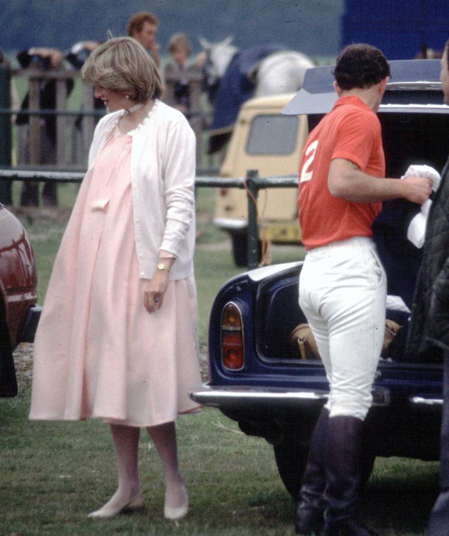 Princess Diana: Her Pregnancy With Prince William