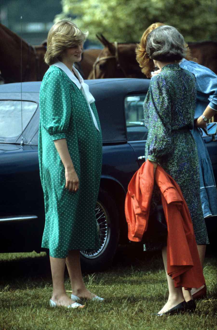 Princess Diana: Her Pregnancy With Prince William