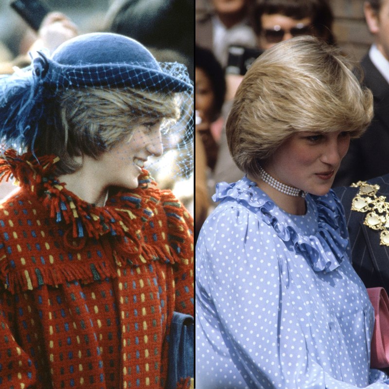 Princess Diana: Her Pregnancy With Prince William