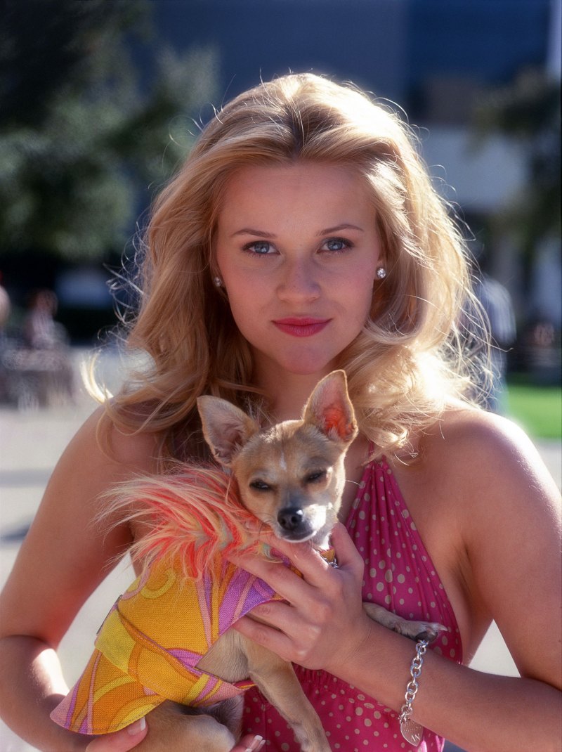 Reese Witherspoon Through the Years  Legally Blonde - 2001