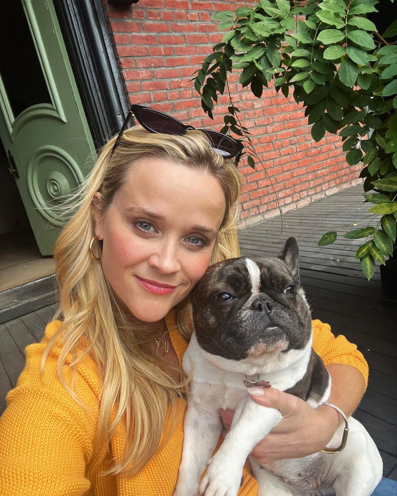 Reese Witherspoon's Cutest Moments With Her Dogs