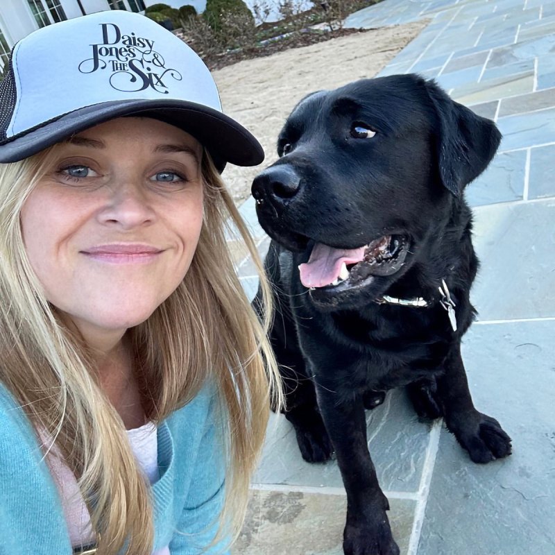 Reese Witherspoon's Cutest Moments With Her Dogs