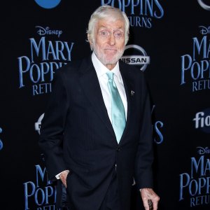 Dick Van Dyke Suffered 'Minor Injuries' After Car Accident in Malibu: Details
