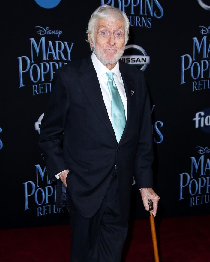 Dick Van Dyke Suffered 'Minor Injuries' After Car Accident in Malibu: Details