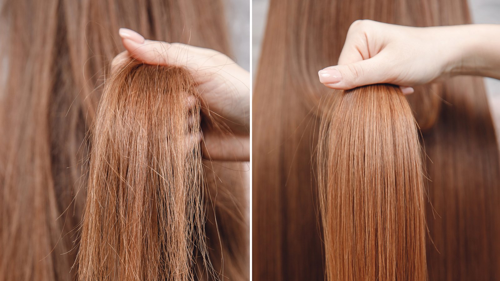 Olaplex No. 5 Conditioner Is Changing Our Hair for the Better