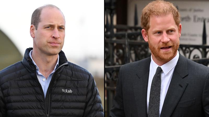 Prince William Should Have Responded to Harry's Book, Expert Says | Us Weekly