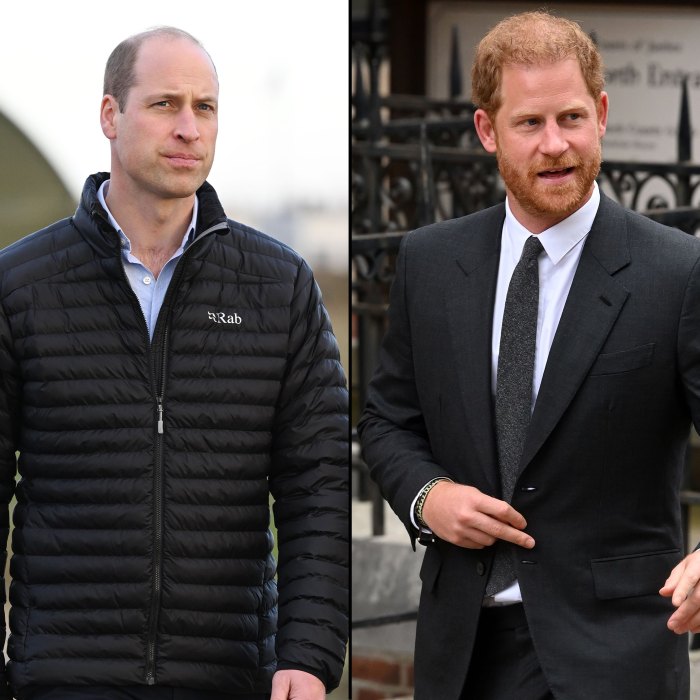 Royal Expert Thinks Prince William Should Have Responded to Prince Harry's 'Spare' to Extend the Hand of Brotherhood