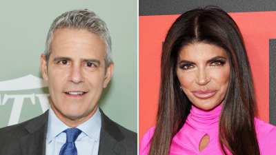 Andy Cohen confessed that he lost his cool while speaking to Teresa Giudice