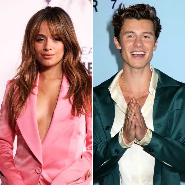 Camila Cabello Seemingly Hints at Shawn Mendes Reunion in New Song