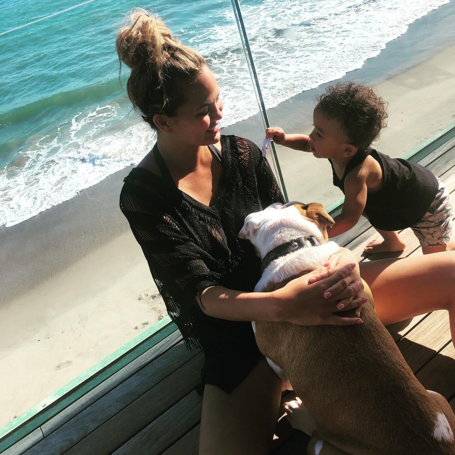 Stars Celebrate Their Beloved Pets Birthdays Over the Years