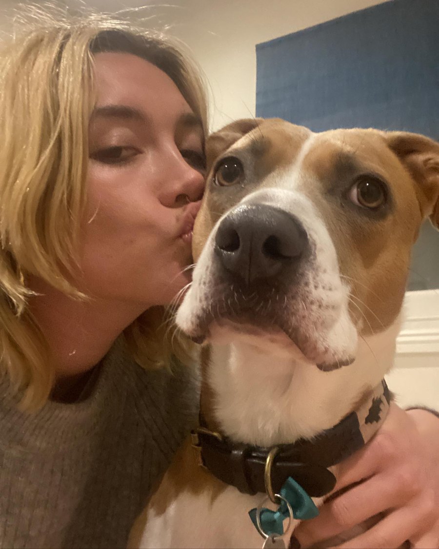 Stars Celebrate Their Beloved Pets Birthdays Over the Years