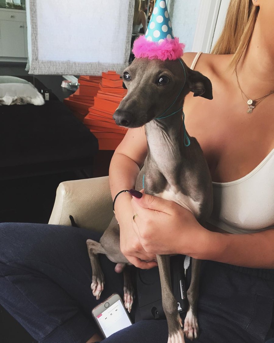 Stars Celebrate Their Beloved Pets Birthdays Over the Years