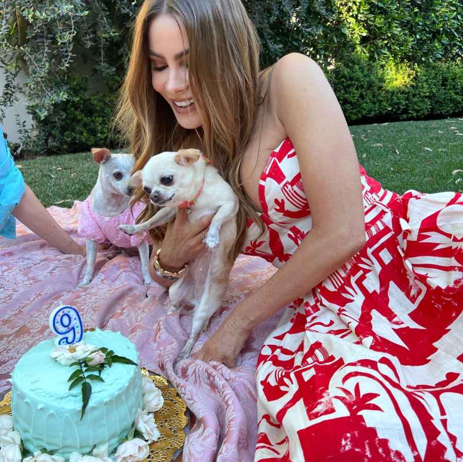 Stars Celebrate Their Beloved Pets Birthdays Over the Years