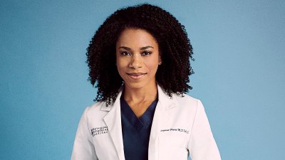 Grey’s Anatomy’s Biggest Exits Over the Years- Who Quit? Who Was Fired? And Who Is Down to Come Back? - 118 Kelly McCreary