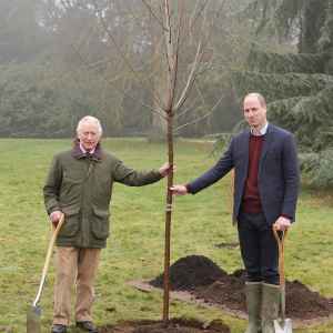 King Charles III Announces the End of Late Mother Queen Elizabeth II’s Green Canopy Project- ‘A Fitting Tribute’ - 550