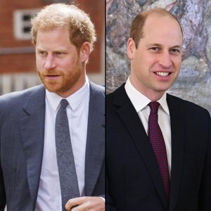 Prince Harry Claims William Received Very Large Sum in Phone Hacking Case