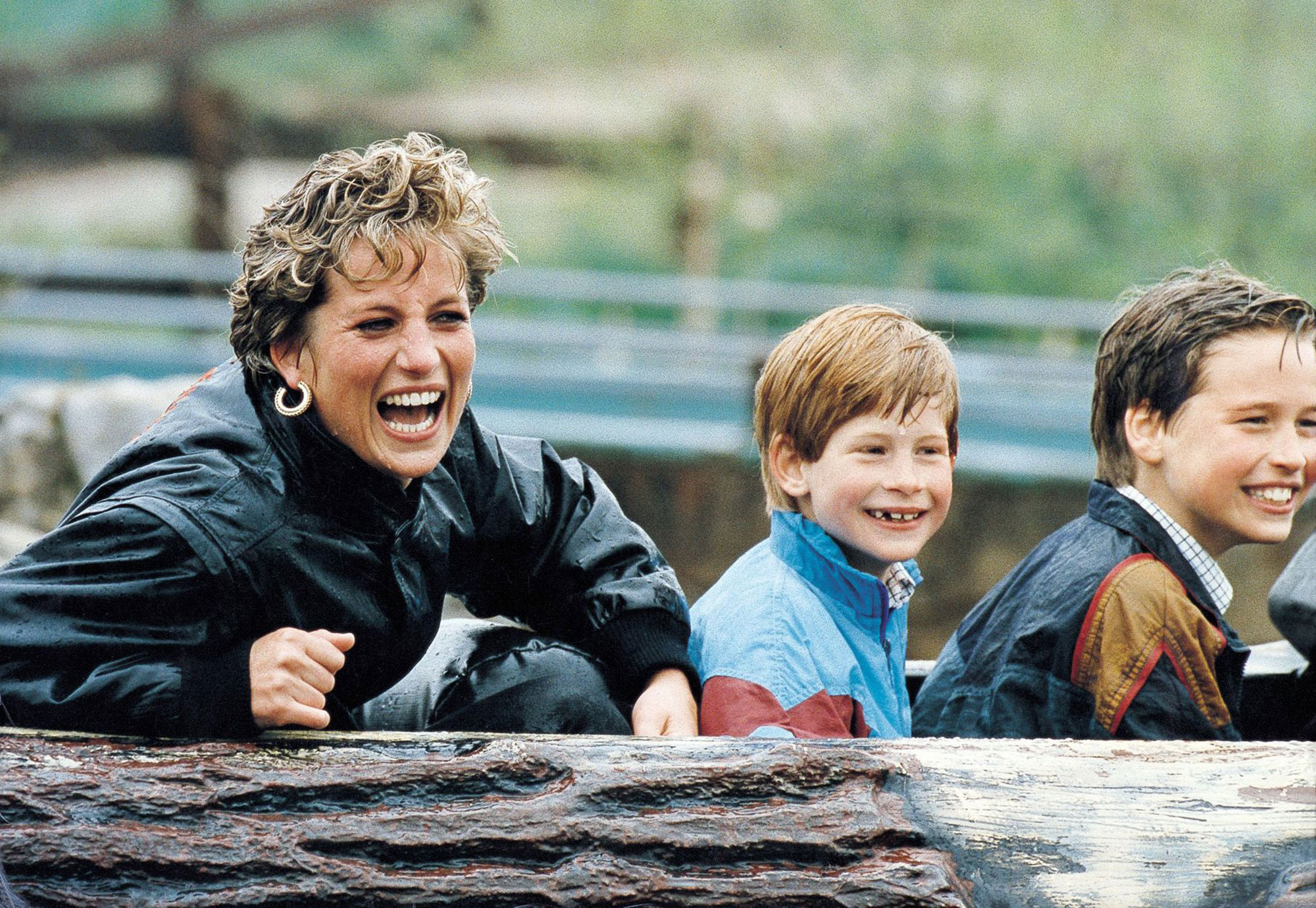 Princess Diana’s Will Revealed: See What She Left Princes William and Harry