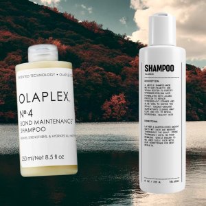 Shampoo Featured Image