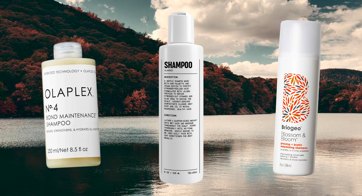 Shampoo Featured Image