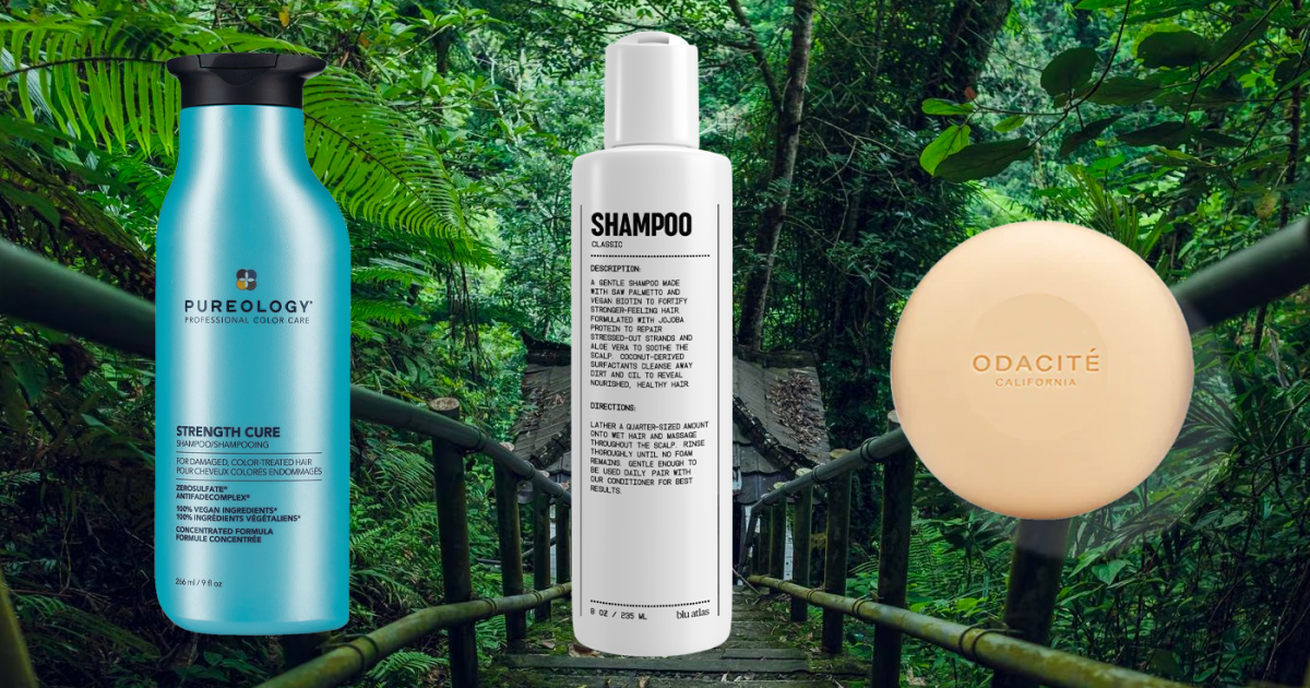 The Best Shampoos For Damaged Hair in 2023 - Buzzing Today