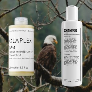 Shampoos and Conditioners for Hair Loss Featured Image