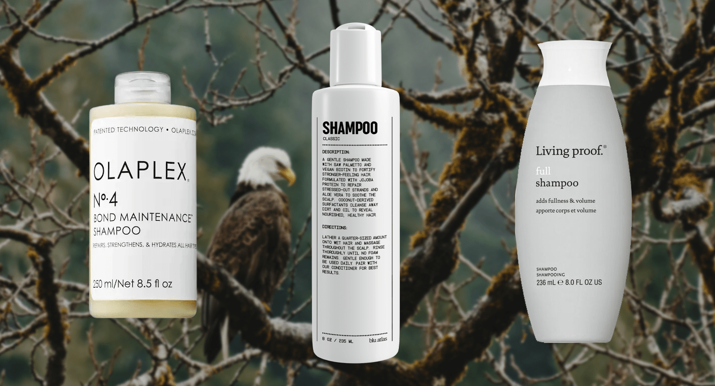 Shampoos and Conditioners for Hair Loss Featured Image