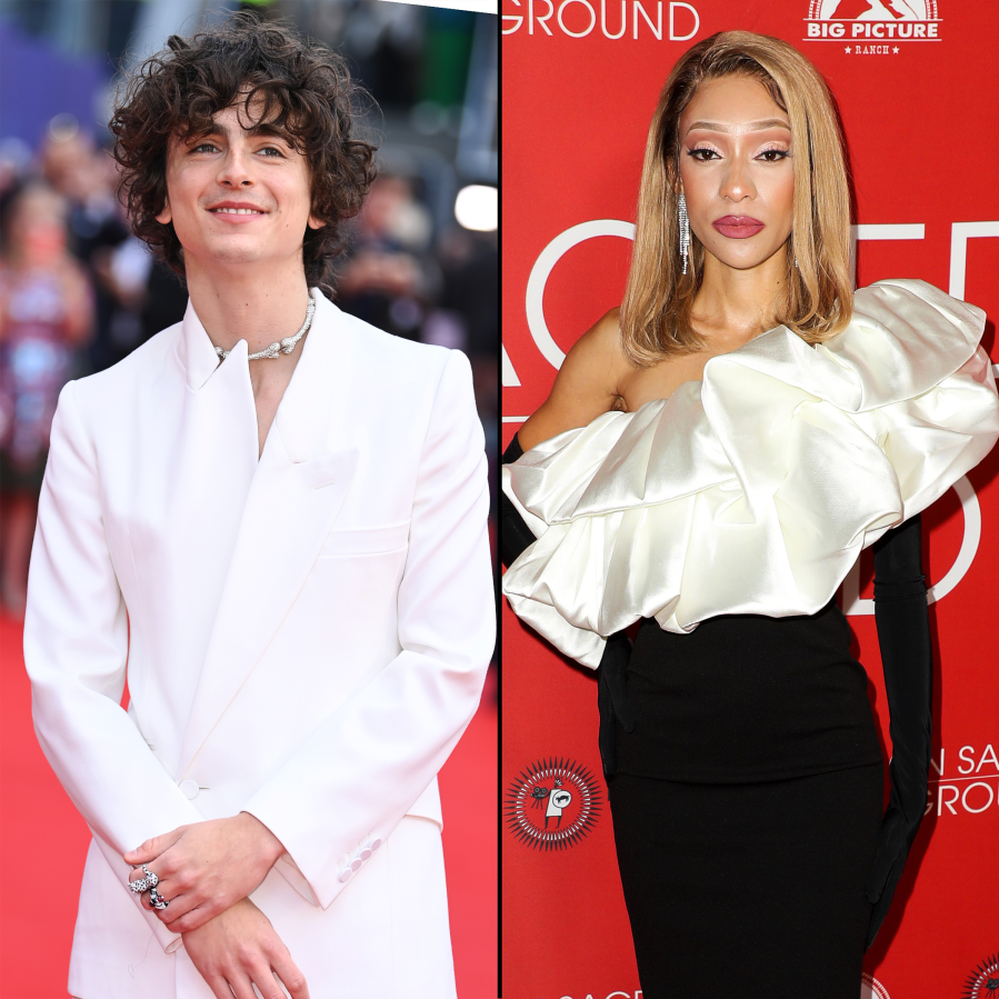 Timothee Chalamet's Dating History- Kylie Jenner, Lily Rose Depp and More - 201