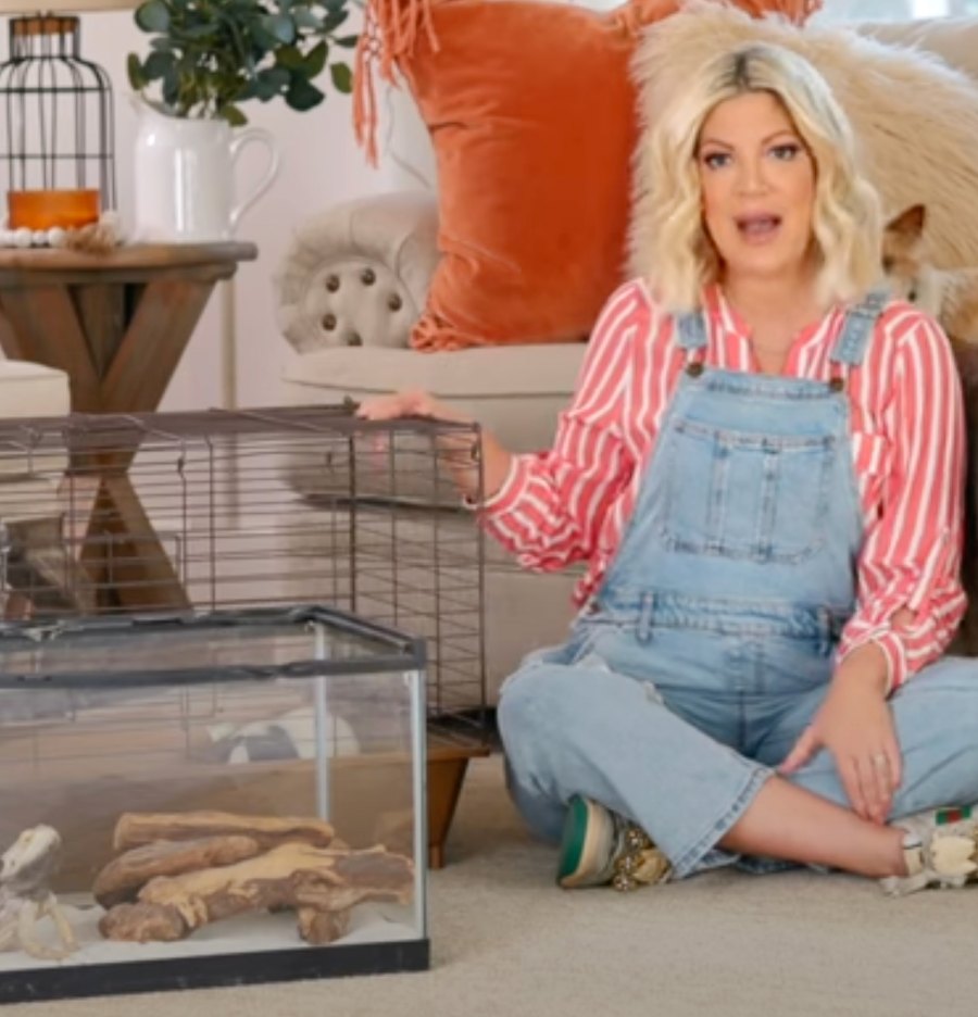 Tori Spelling Pets 443