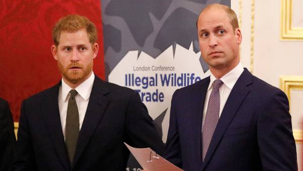 William and Harry Communication Has Been Radio Silence Amid Tense Feud 351
