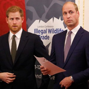 William and Harry Communication Has Been Radio Silence Amid Tense Feud 351