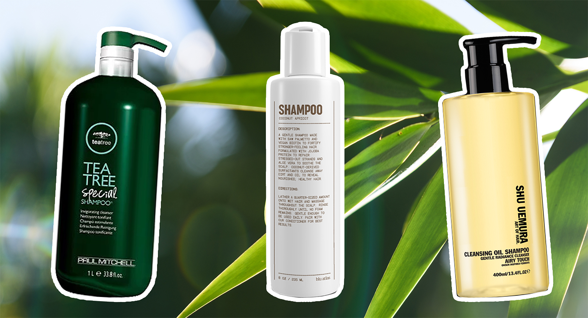 Sunsilk Lusciously Thick & Long Hair Shampoo - Beuflix – BEUFLIX