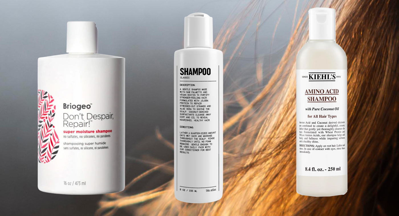 Best Shampoo For Dry and Damaged Hair 2021 – StyleCaster