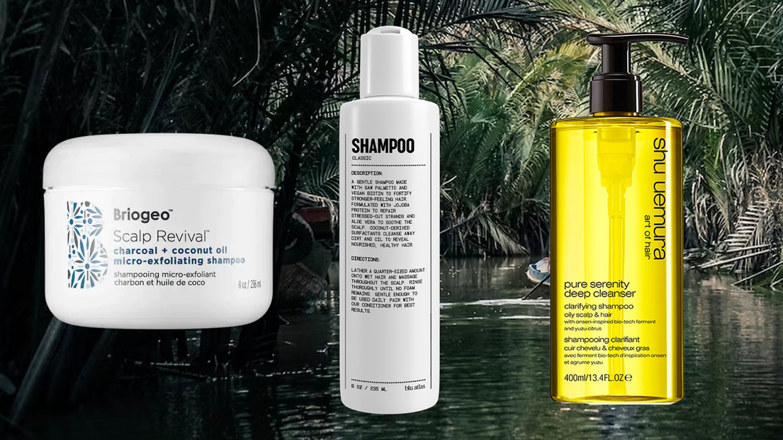 Best Shampoos for Thin, Oily Hair