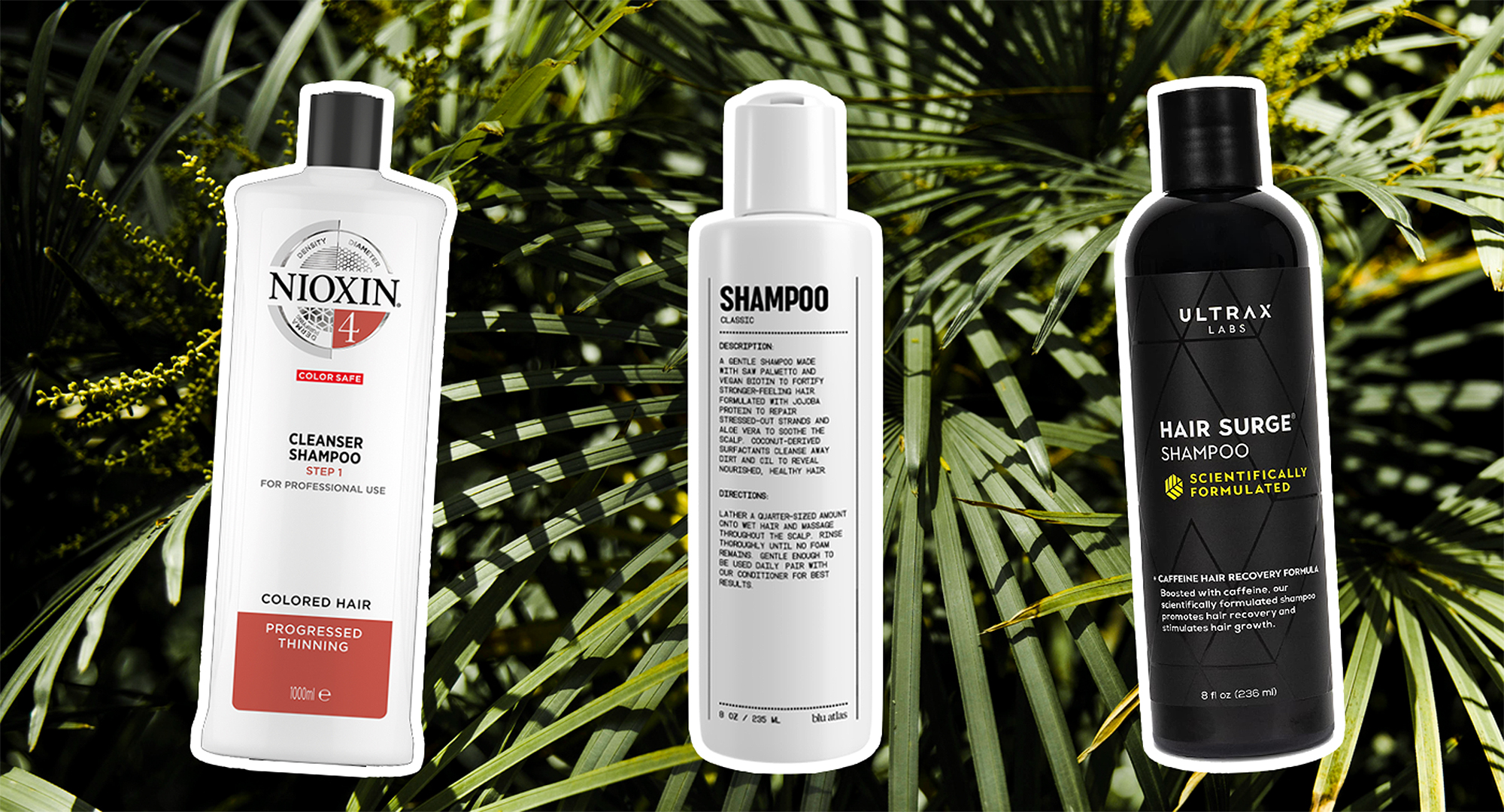 Bevægelse Orkan forholdsord Best Shampoos for Thinning Hair