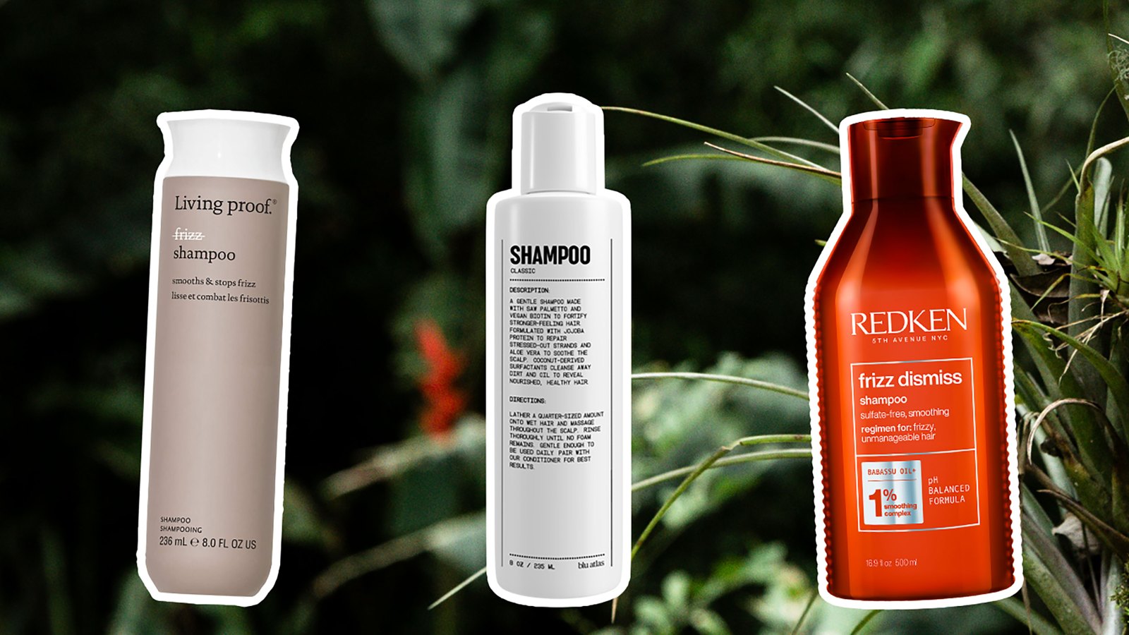 9 Best Shampoos for Frizzy Hair in 2023