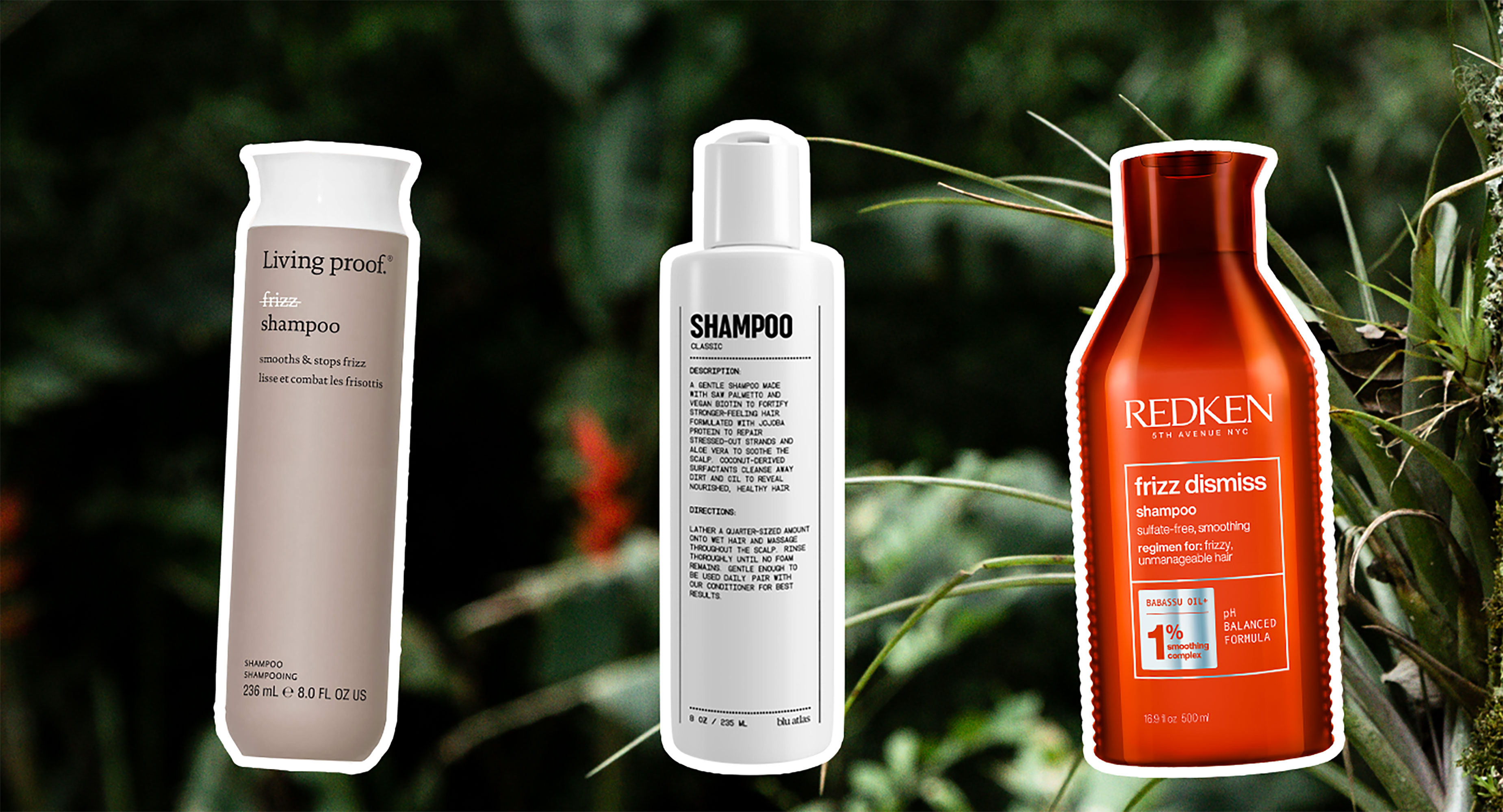 bluse eksplodere springvand 9 Best Shampoos for Frizzy Hair in 202