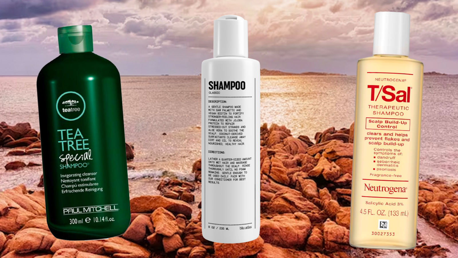 oily hair shampoo