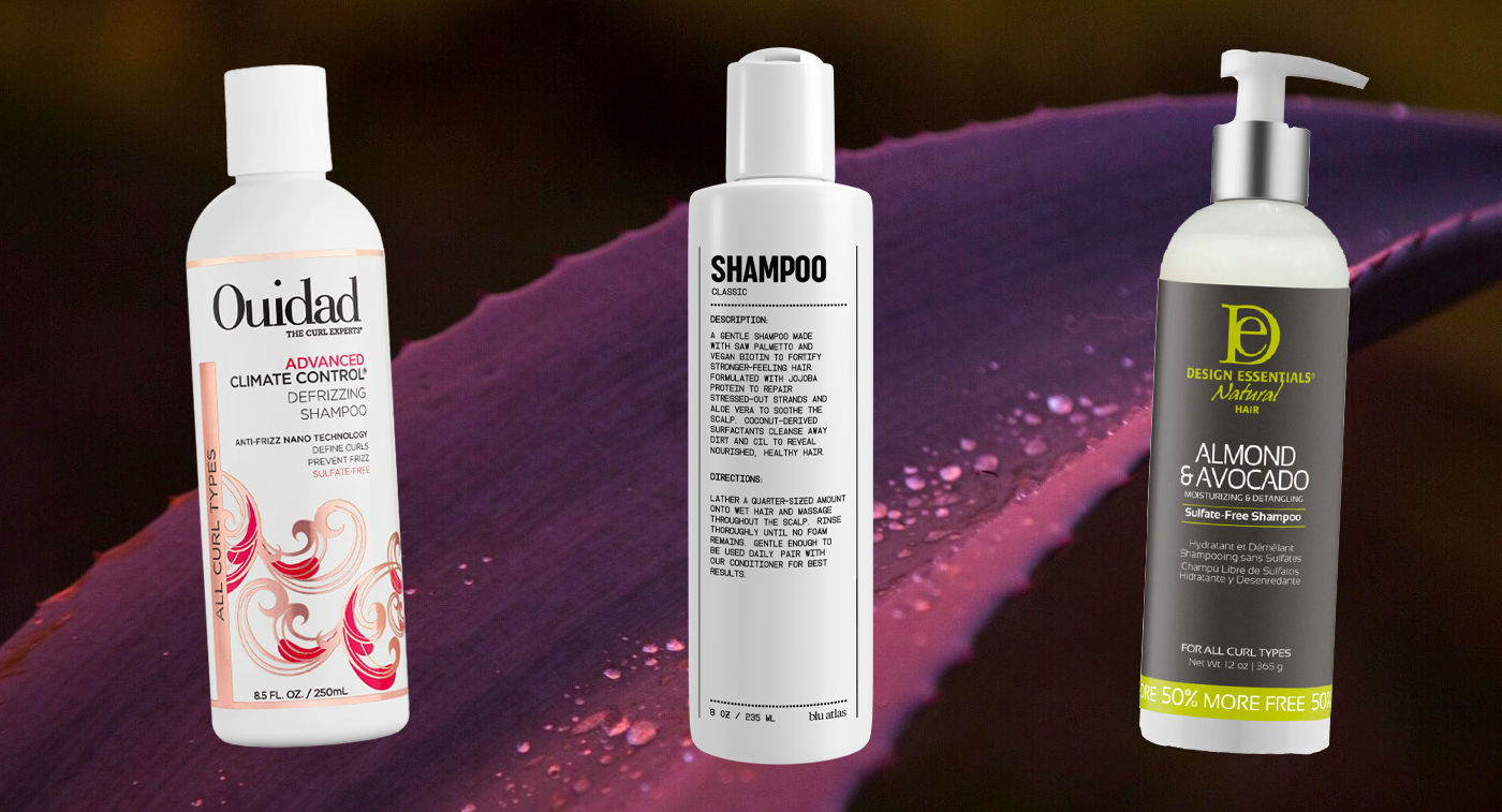 Discover more than 83 best shampoo for curly hair in.eteachers