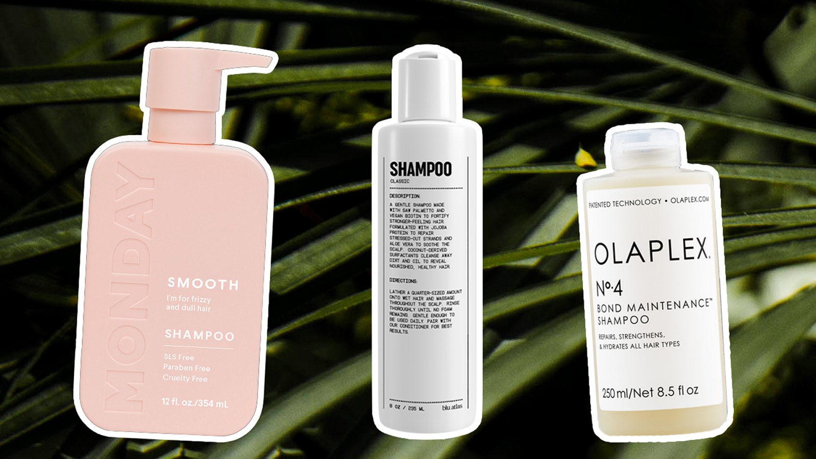 sulfate-free-shampoos