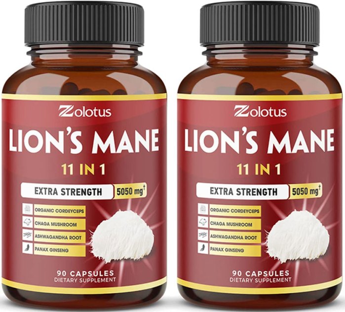29 Best Lion's Mane Supplements
