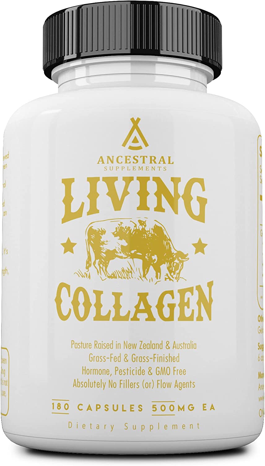 Ancestral Supplements Grass Fed Beef Living Collagen Nutritional Powder