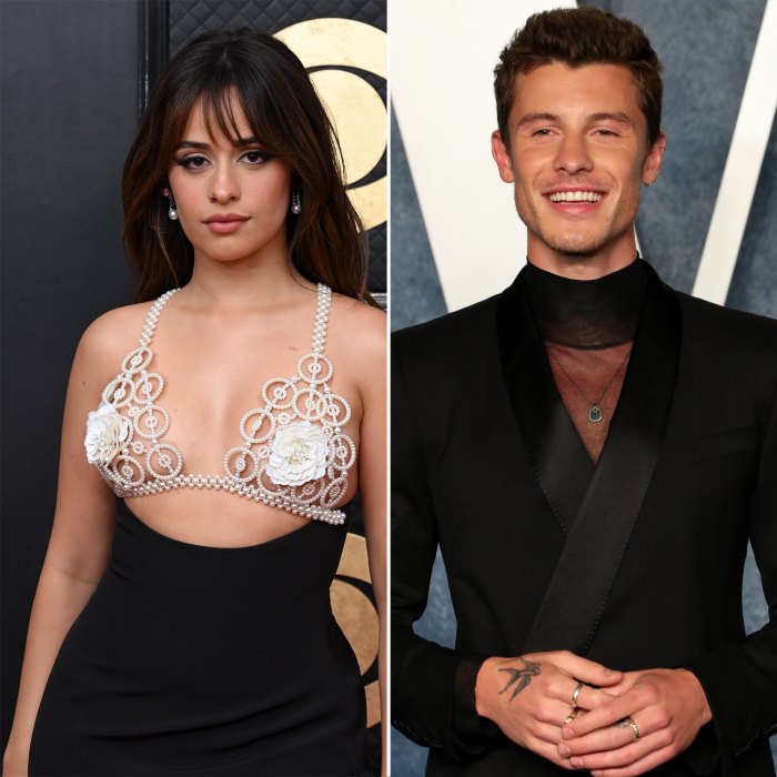 Camila Cabello and Shawn Mendes Feelings for Each Other Came Flooding Back While Reconnecting After Split