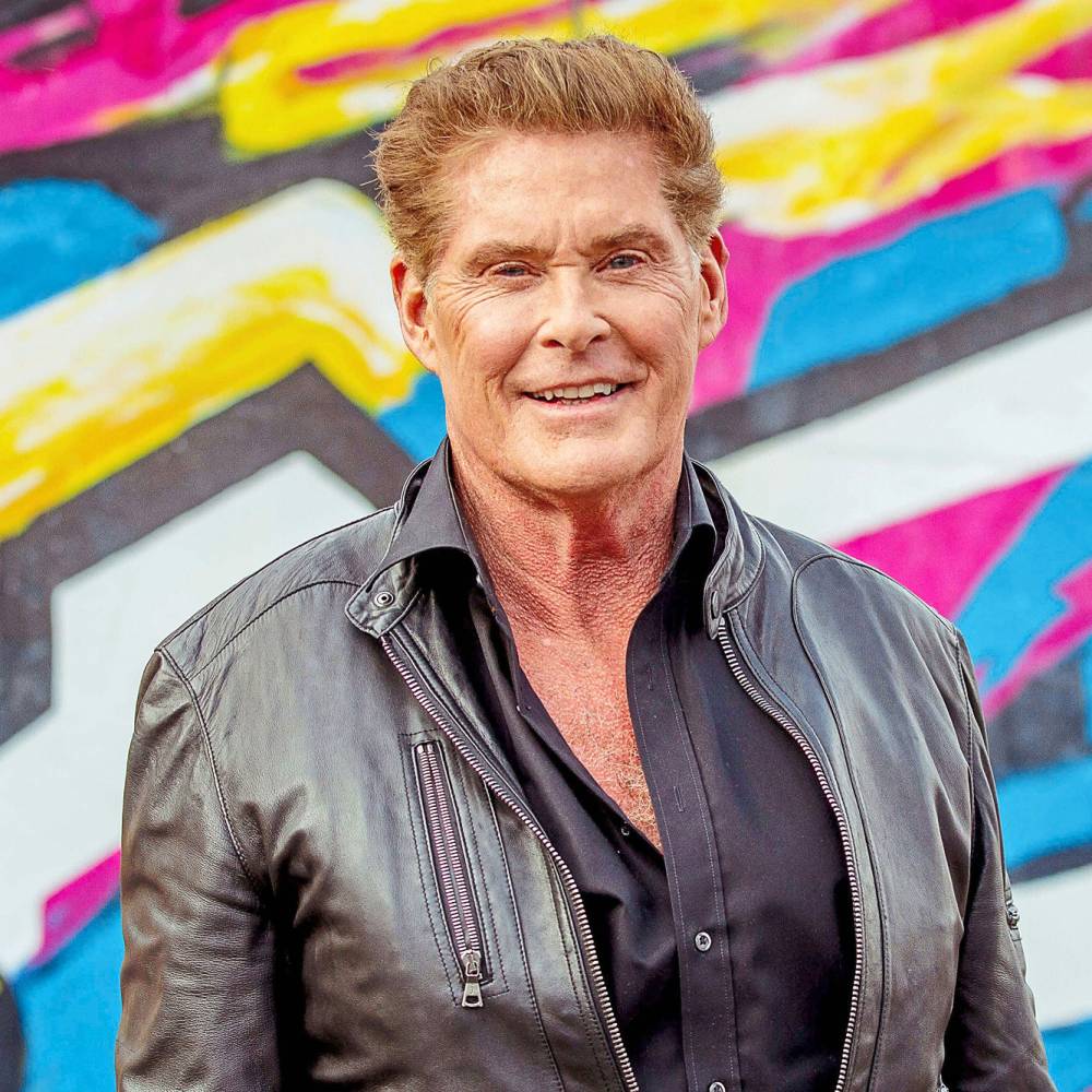 David Hasselhoff Rolator David Hasselhoff’s Kids Sell Mom’s Home, Inherit Over $1M (Excl) | Us ...
