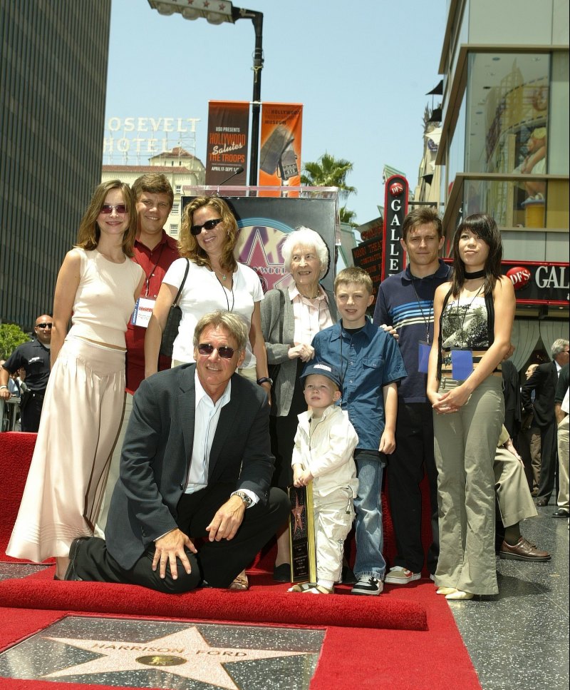 Harrison Ford-s Family Guide