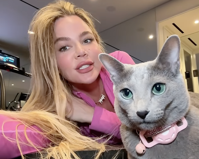 Khloe Kardashian Claps Back at Fan Comment Stating She Will Give Away Her Cat