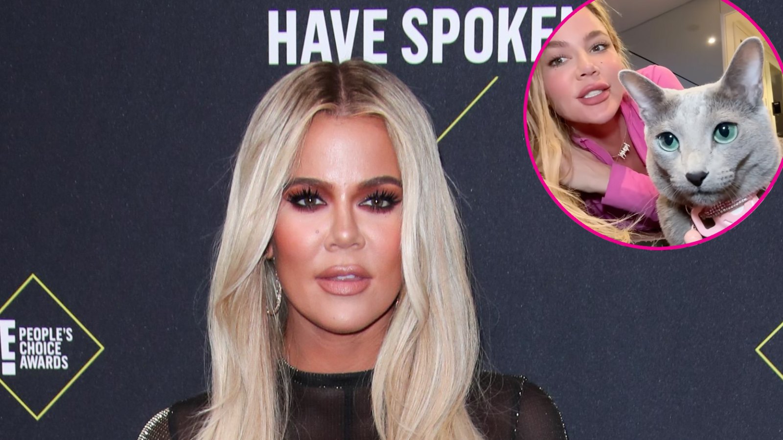 Khloe Kardashian Claps Back at Fan Comment Stating She Will Give Away Her Cat
